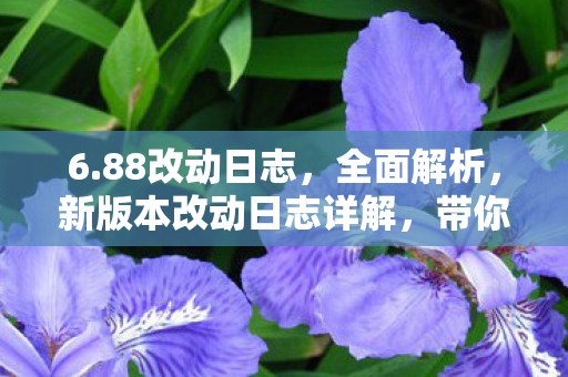 6.88改动日志，全面解析，新版本改动日志详解，带你了解最新更新内容
