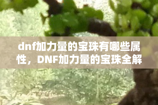 dnf加力量的宝珠有哪些属性图片