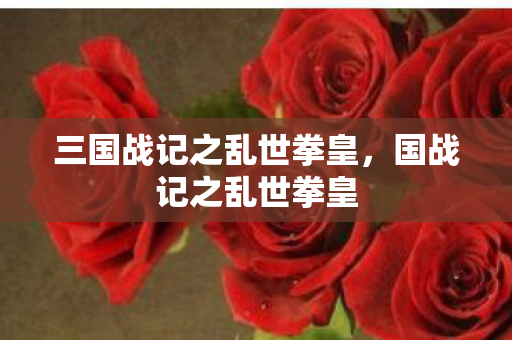 三国战记之乱世拳皇图片