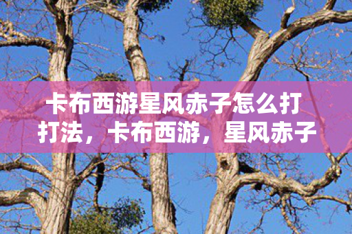 卡布西游星风赤子怎么打 打法图片