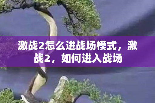激战2怎么进战场模式图片
