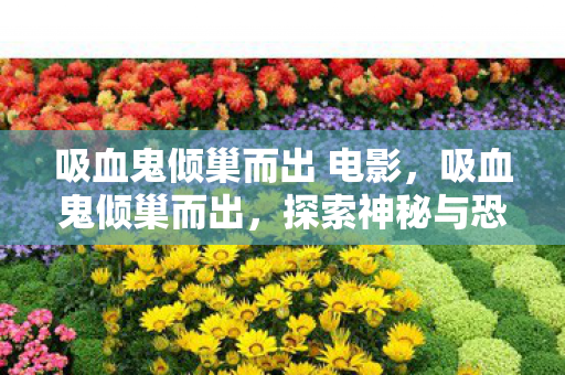 吸血鬼倾巢而出 电影图片