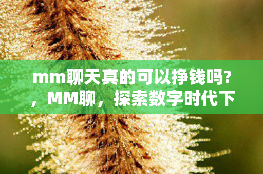 探索数字时代下的情感交流新方式图片