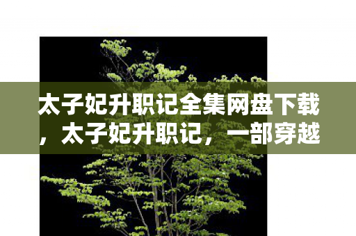 太子妃升职记全集网盘下载图片