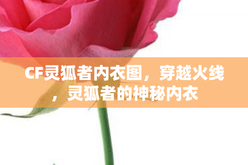 CF灵狐者内衣图图片