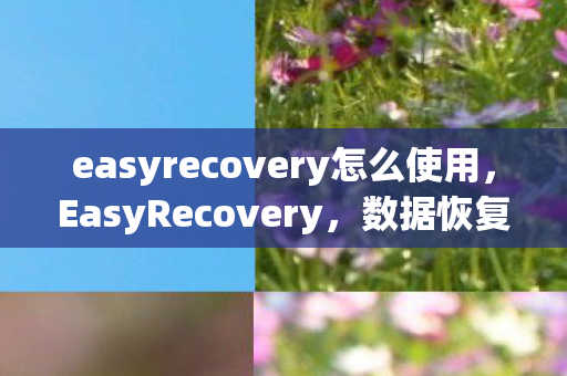 easyrecovery怎么使用图片