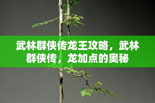 武林群侠传龙王攻略图片