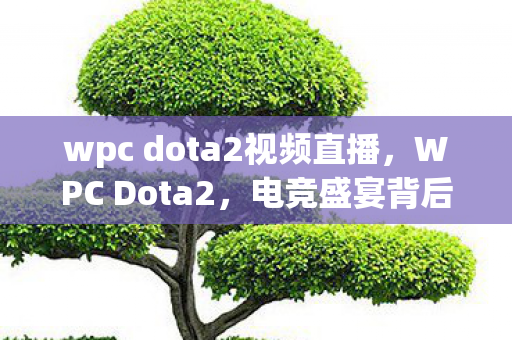 wpc dota2视频直播，WPC Dota2，电竞盛宴背后的故事