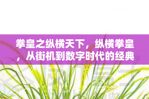 拳皇之纵横天下，纵横拳皇，从街机到数字时代的经典传承