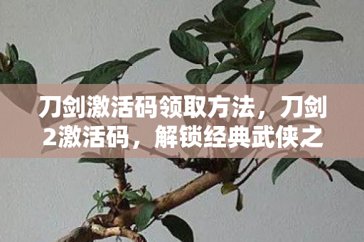 解锁经典武侠之旅的钥匙图片