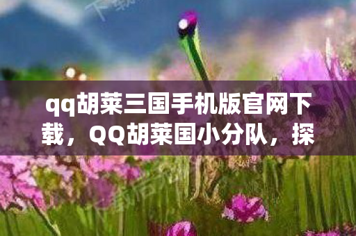 qq胡莱三国手机版官网下载图片