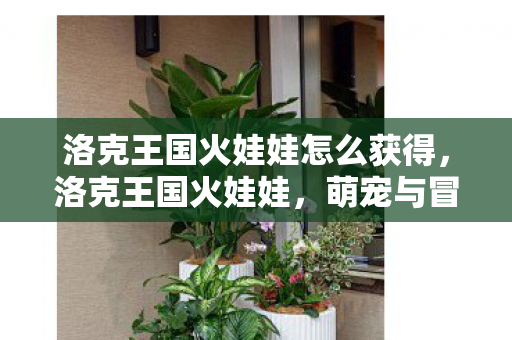 洛克王国火娃娃怎么获得图片