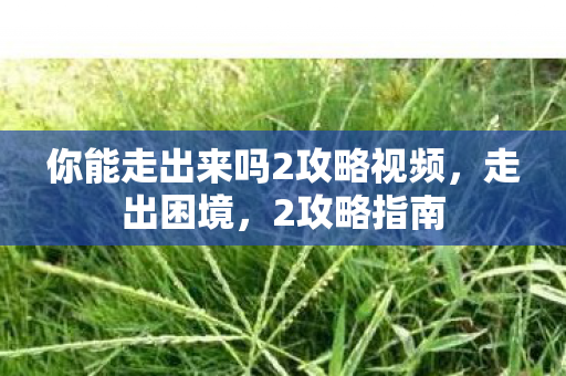 你能走出来吗2攻略视频图片