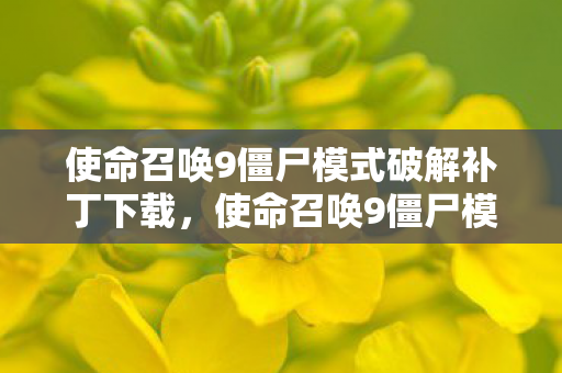 使命召唤9僵尸模式破解补丁下载图片