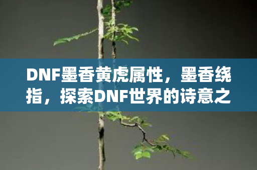 探索DNF世界的诗意之旅图片