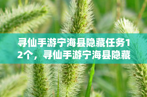 寻仙手游宁海县隐藏任务12个图片