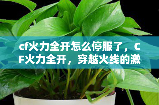 cf火力全开怎么停服了图片