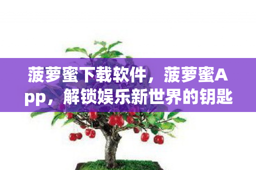 解锁娱乐新世界的钥匙图片