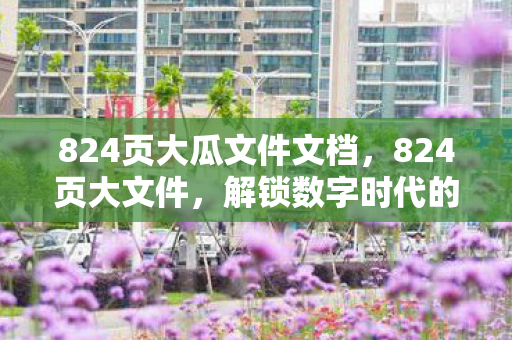 824页大瓜文件文档，824页大文件，解锁数字时代的秘密