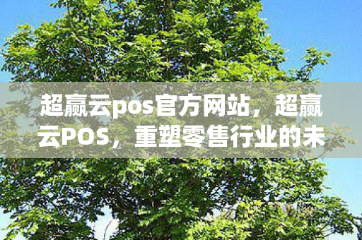 超赢云pos官方网站，超赢云POS，重塑零售行业的未来