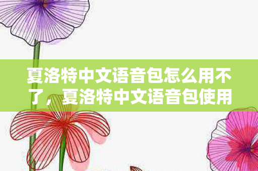 夏洛特中文语音包怎么用不了，夏洛特中文语音包使用指南，轻松掌握游戏语音技巧