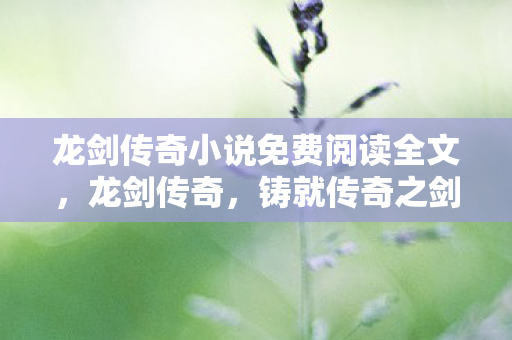 龙剑传奇小说免费阅读全文，龙剑传奇，铸就传奇之剑的荣耀之路