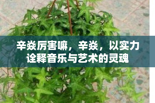 以实力诠释音乐与艺术的灵魂图片