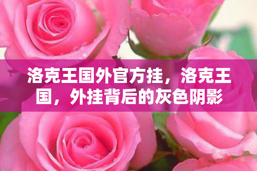 外挂背后的灰色阴影图片