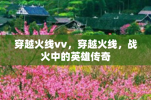 战火中的英雄传奇图片