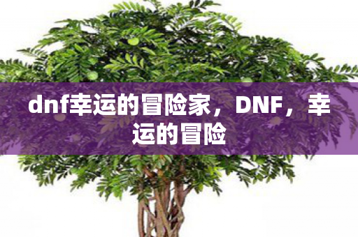 dnf幸运的冒险家图片