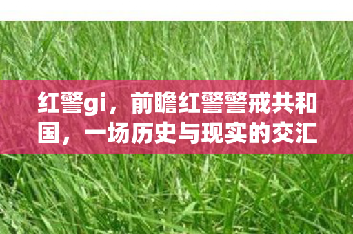 一场历史与现实的交汇图片