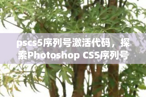 探索Photoshop CS5序列号图片