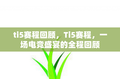 ti5赛程回顾，Ti5赛程，一场电竞盛宴的全程回顾