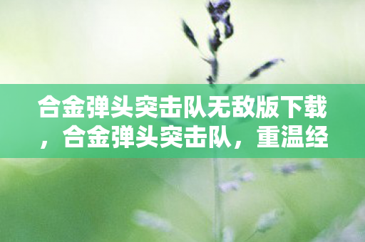 合金弹头突击队无敌版下载图片