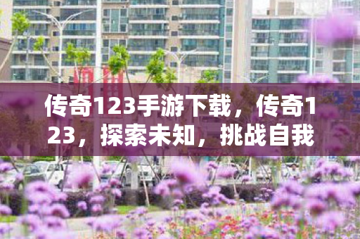 传奇123手游下载图片