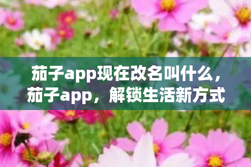 茄子app现在改名叫什么图片
