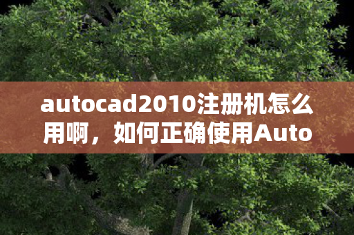 如何正确使用AutoCAD 2010注册机图片