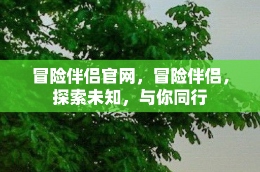 冒险伴侣官网图片