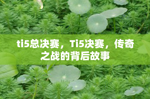 ti5总决赛，Ti5决赛，传奇之战的背后故事