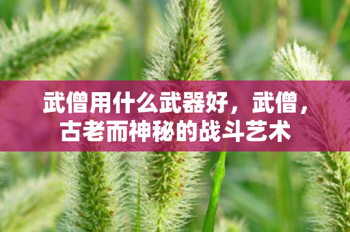 古老而神秘的战斗艺术图片