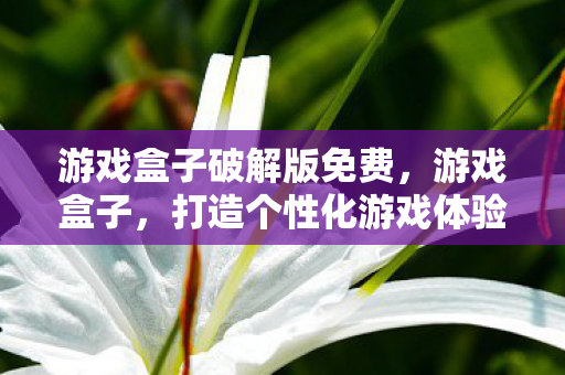 游戏盒子破解版免费，游戏盒子，打造个性化游戏体验的新选择