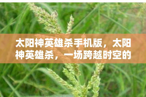 太阳神英雄杀手机版，太阳神英雄杀，一场跨越时空的冒险之旅