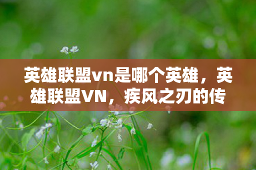 英雄联盟vn是哪个英雄，英雄联盟VN，疾风之刃的传奇