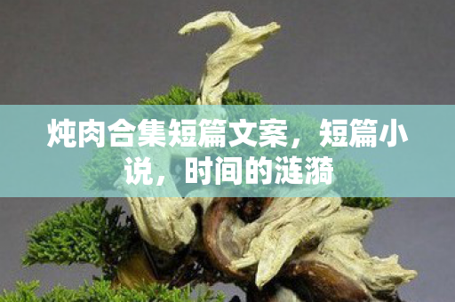 炖肉合集短篇文案，短篇小说，时间的涟漪