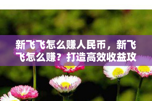 新飞飞怎么赚人民币，新飞飞怎么赚？打造高效收益攻略