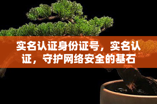 守护网络安全的基石图片