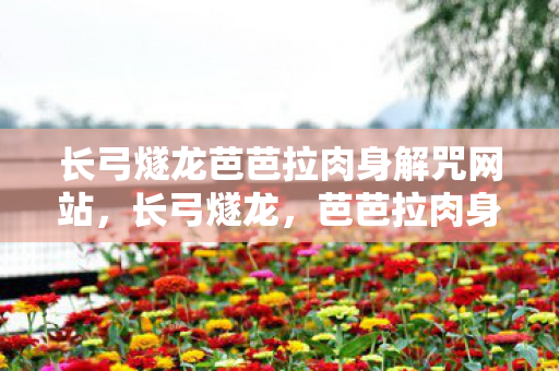 长弓燧龙芭芭拉肉身解咒网站图片