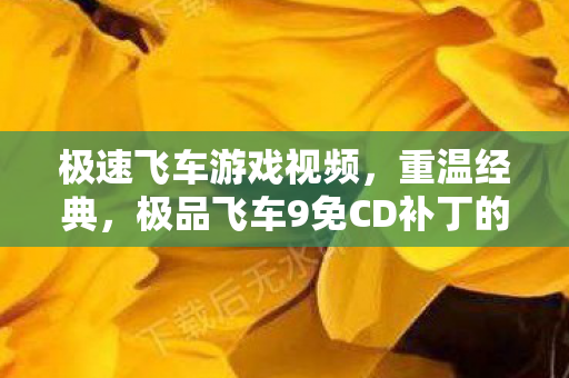 极品飞车9免CD补丁的怀旧之旅图片