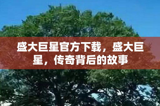 盛大巨星官方下载图片