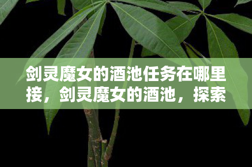 剑灵魔女的酒池任务在哪里接图片